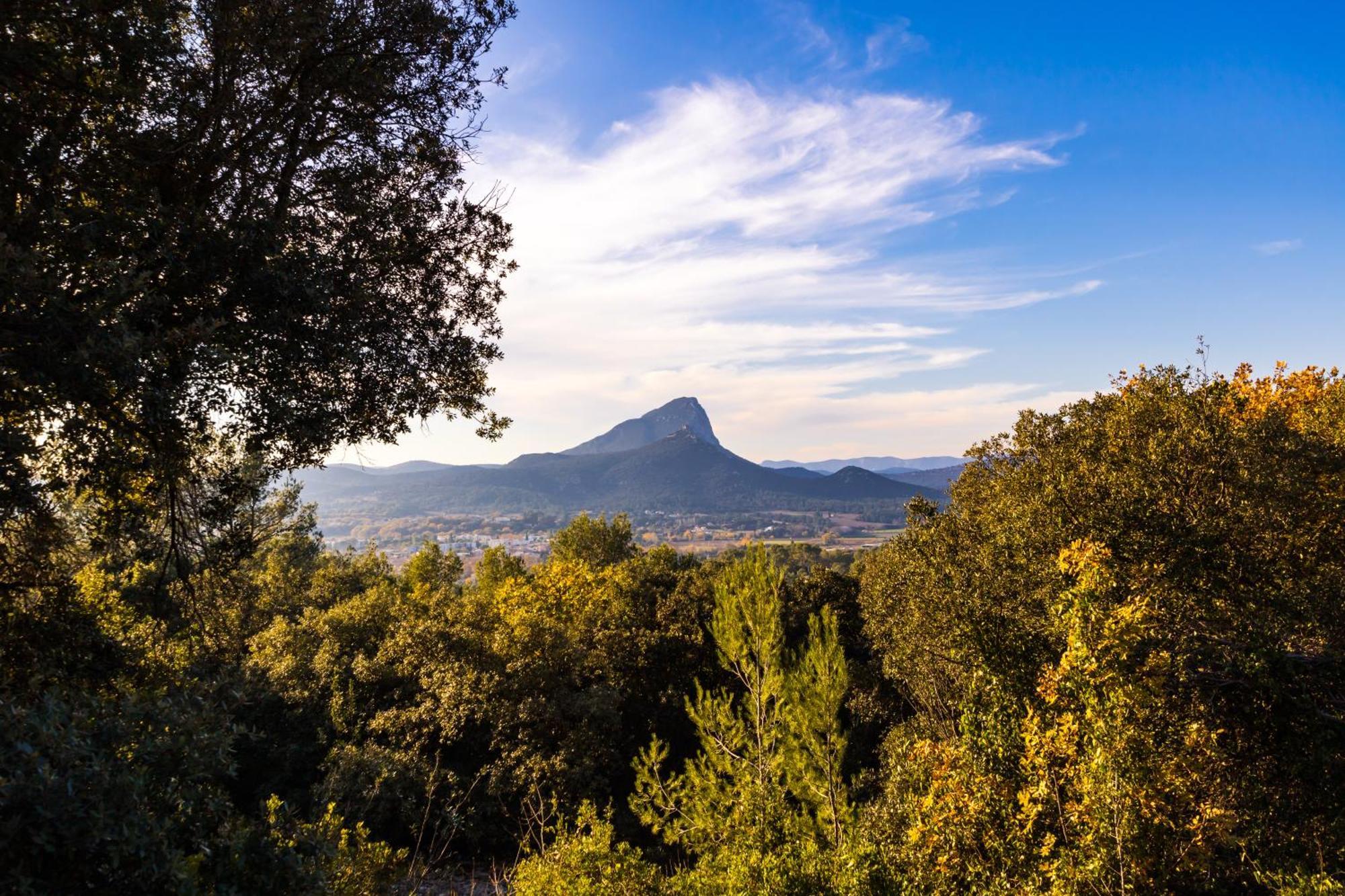 Domaine De Bonelli Hotel Conqueyrac Buitenkant foto